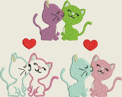 Katzen in Love